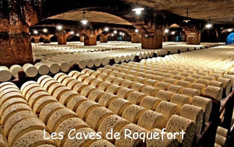 塔恩河畔圣罗姆Les Palmiers Des Causses别墅 外观 照片